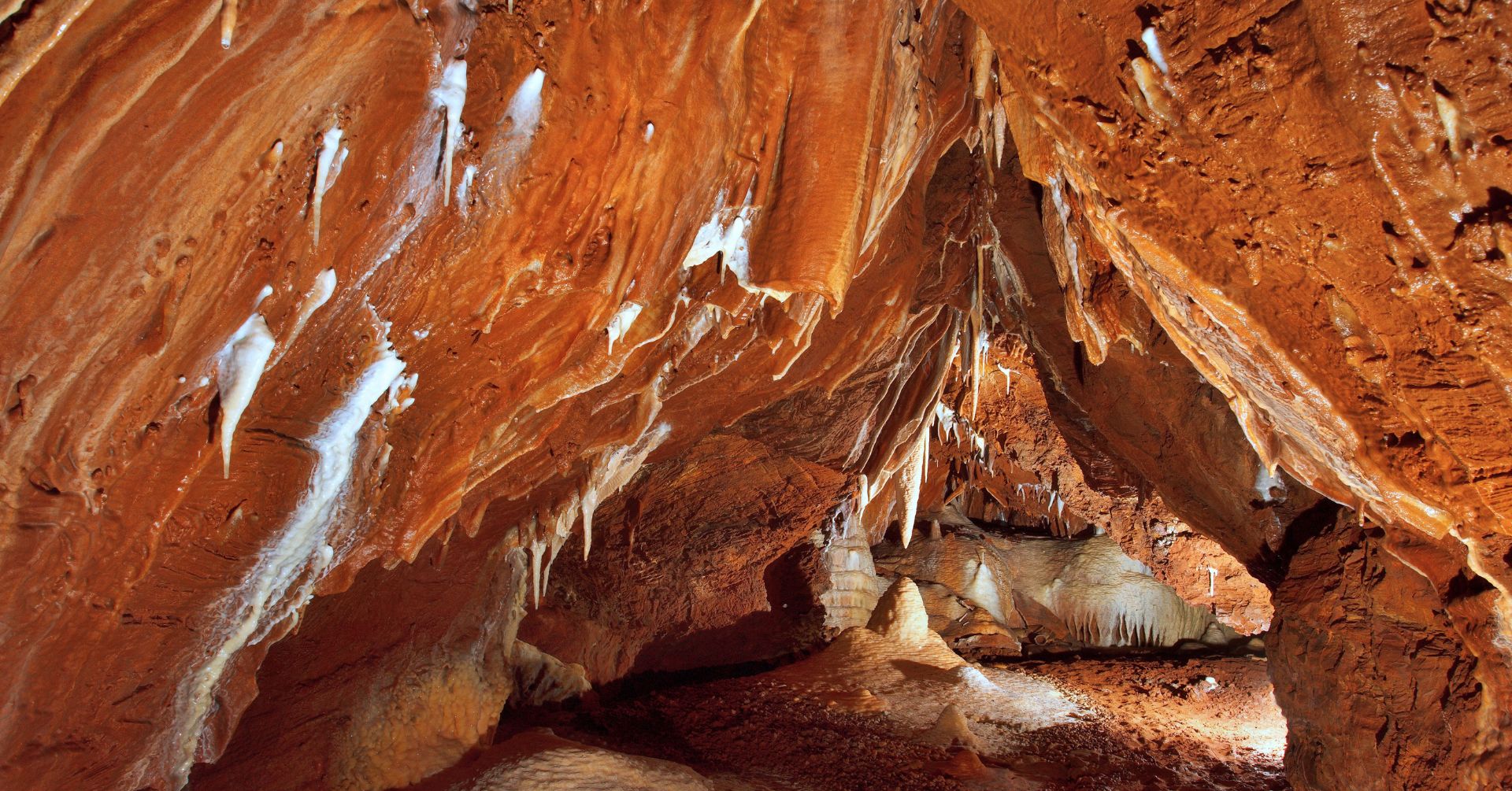 Foto: archiv Michala Beneše